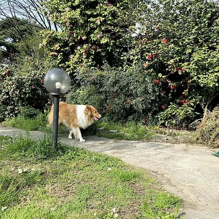 Maison 31 - Casa Nel Vicino A Torino *