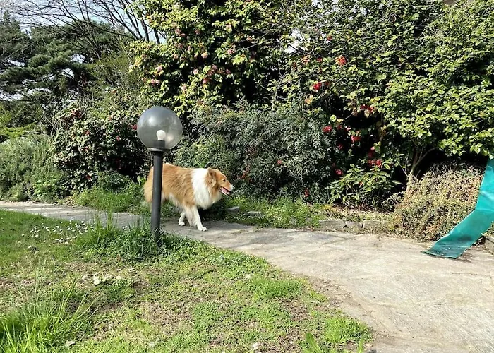 Maison 31 - Casa Nel Vicino A Torino *